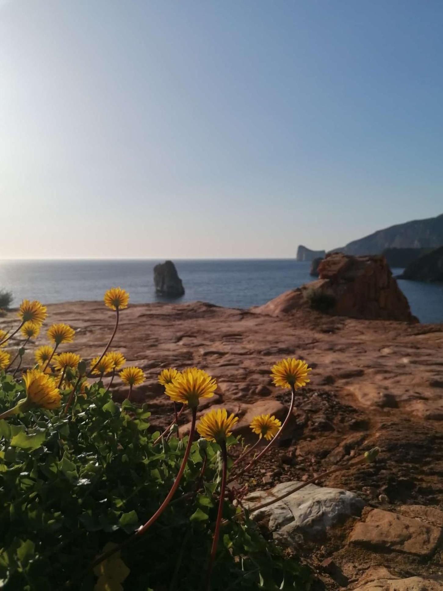 B&B Sa Turre Iglesias Dış mekan fotoğraf